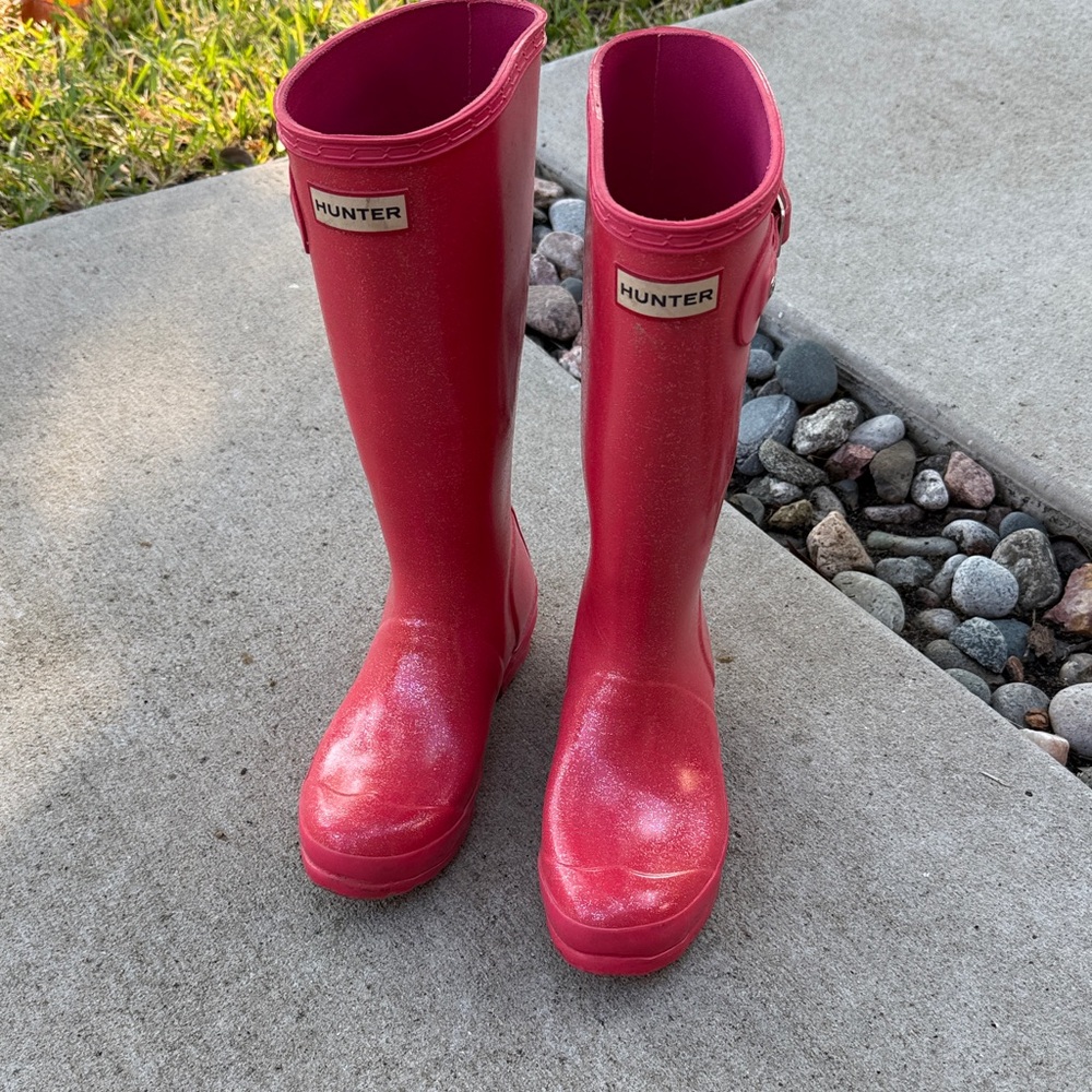Hunter Big Lids Glitter Pink Tall Boots